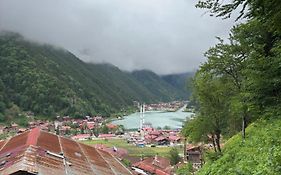 Sahin Home